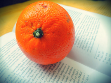 "Naranče nisu jedino voće" Jeanette Winterson: dobre teme ostale neiskorištene