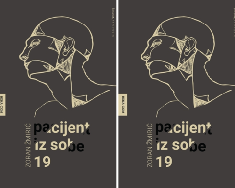 "Pacijent iz sobe 19" Zorana Žmirića: roman koji se čita u jednom dahu