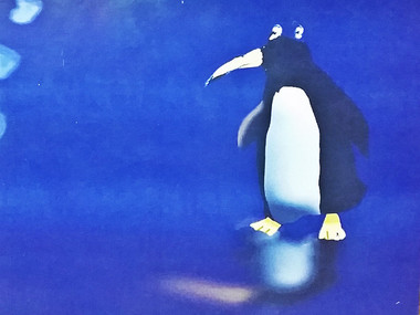 "Preživjeti s pingvinom" Andreja Kurkova: Pingvini, pingvinolozi, ukrajinsko-ruska mafija i raspušteni zoološki vrtovi