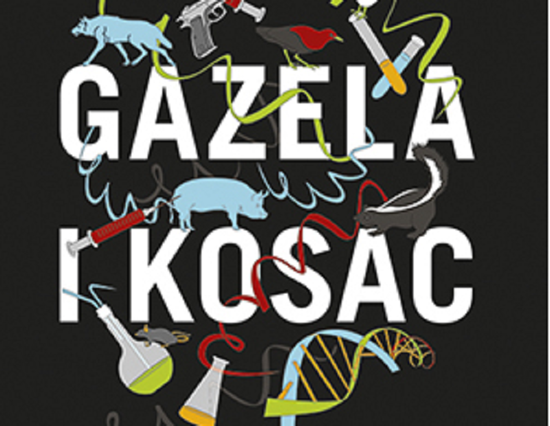 Margaret Atwood: Gazela i Kosac 