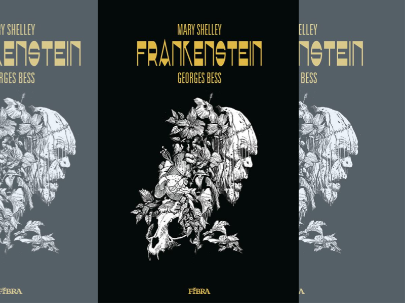 Frankenstein / [scenarij i crtež] Georges Bess ; [prema romanu "Frankenstein" Mary Shelley] ; [prijevod Andrea Bagović]