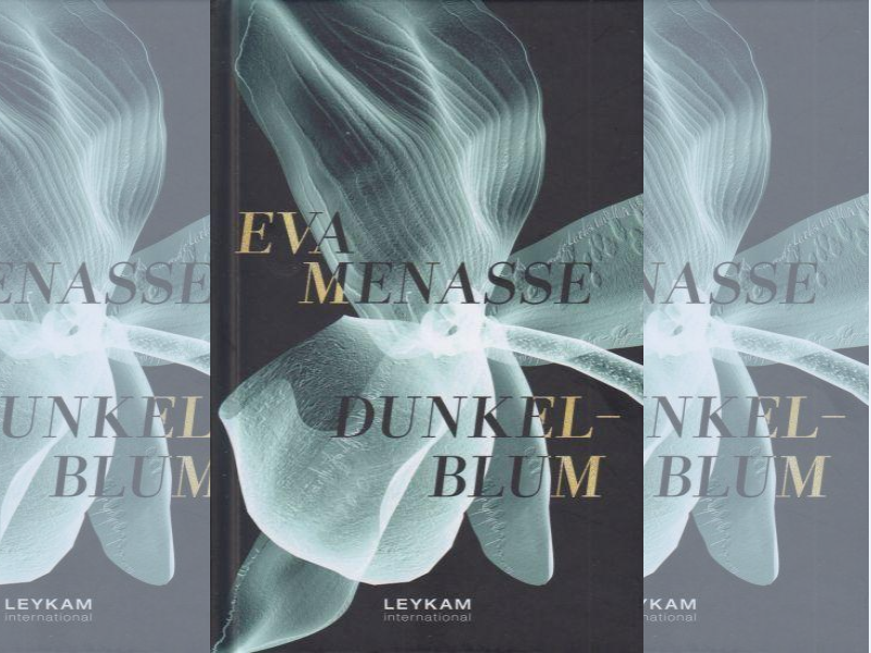 Dunkelblum : roman / Eva Menasse ; preveo s njemačkoga Andy Jelčić