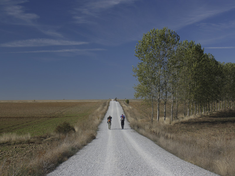 Promocija knjige „Vrijeme badema“ (Camino de Santiago) putopjesnikinje Maje Klarić