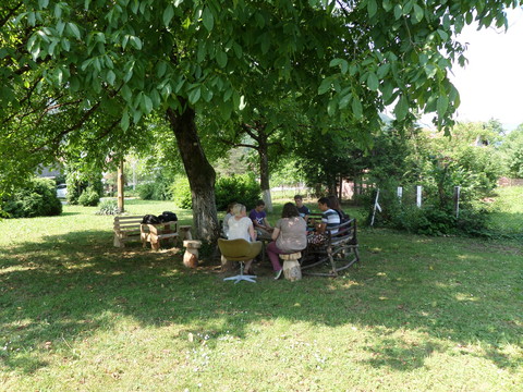 Biblioklub, život prije i tijekom pandemije