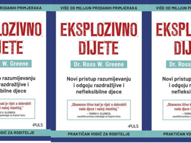 Eksplozivno dijete : Novi pristup razumijevanju i odgoju razdražljive i kronično nefleksibilne djece