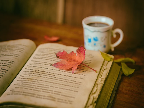 Atmosferične: Deset knjiških preporuka za jesen