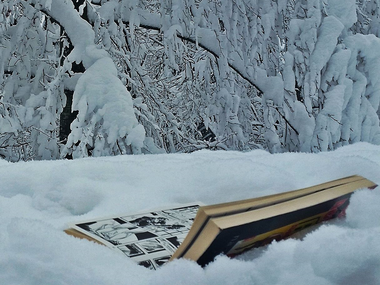 Što čitati ove zime: sretni zarobljenici knjižnice zatrpane snijegom   