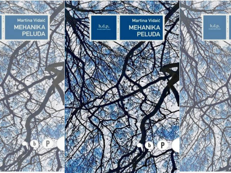 Ilustracija knjižnica u snijegu (14)