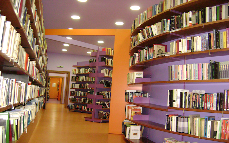 Knjižničari 8