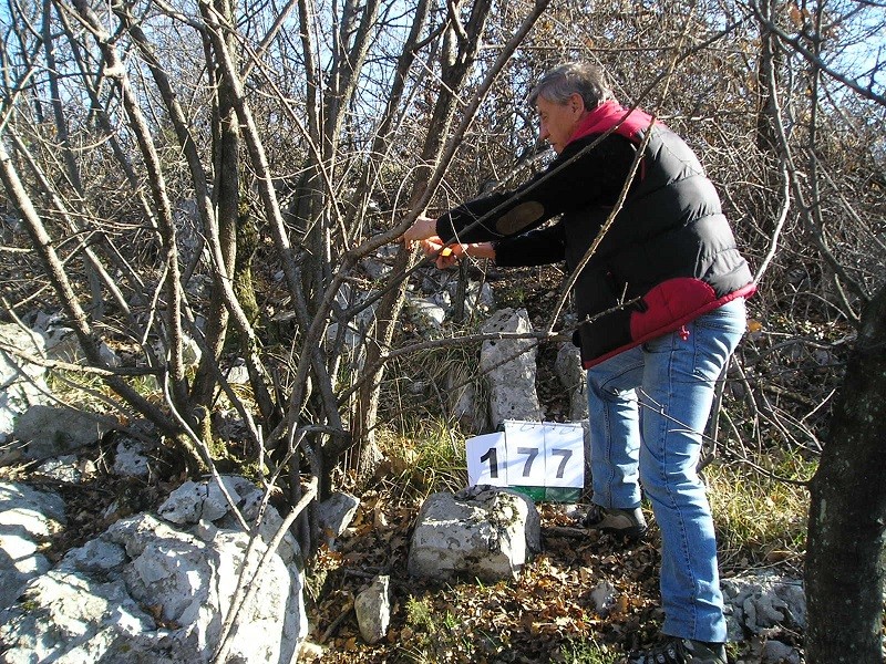 P3150008